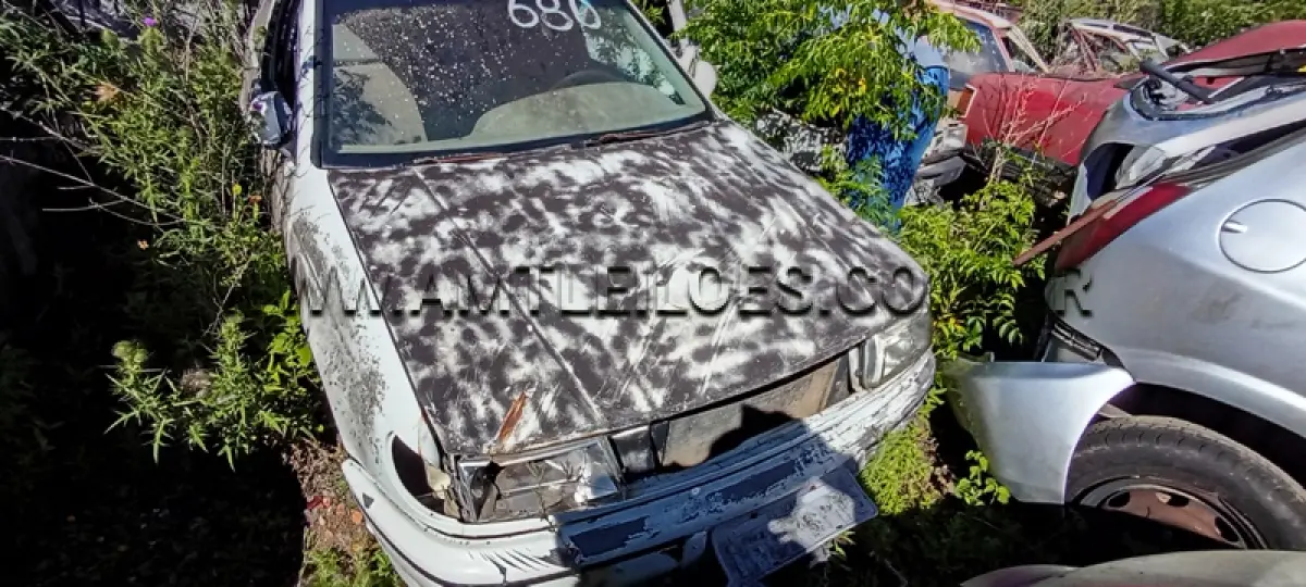 LOTE 0091