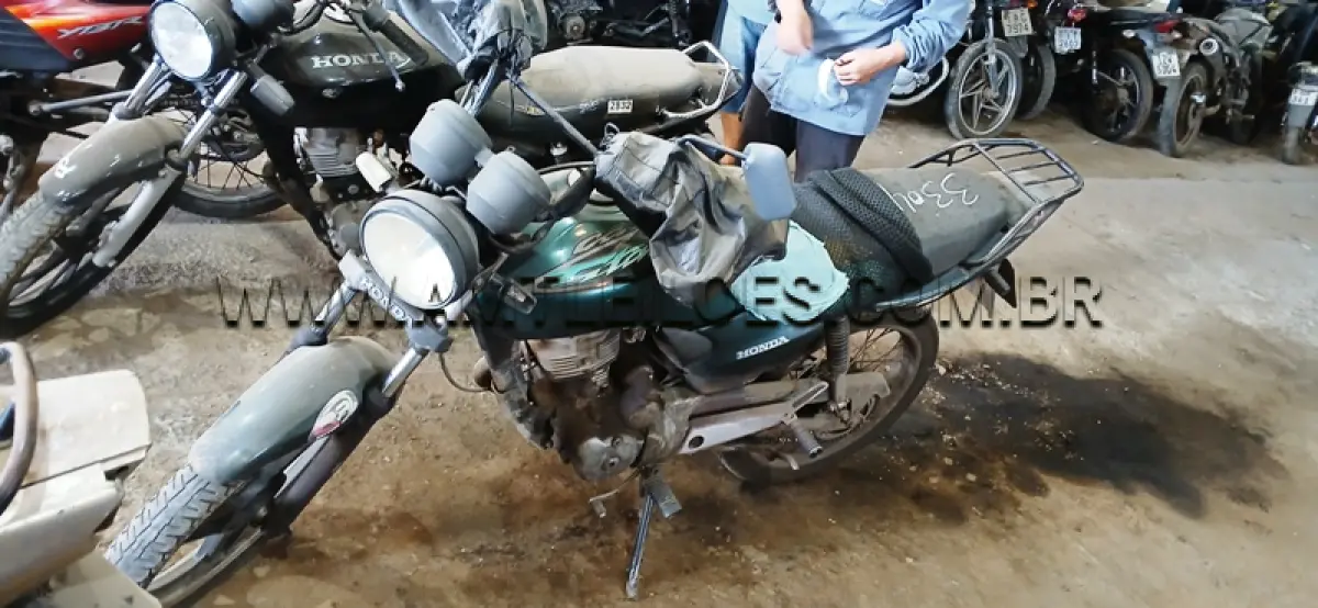 LOTE 0238