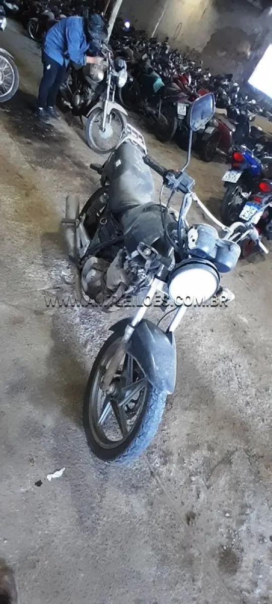 LOTE 0242