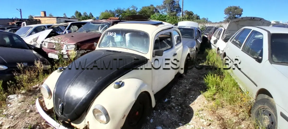 LOTE 0136