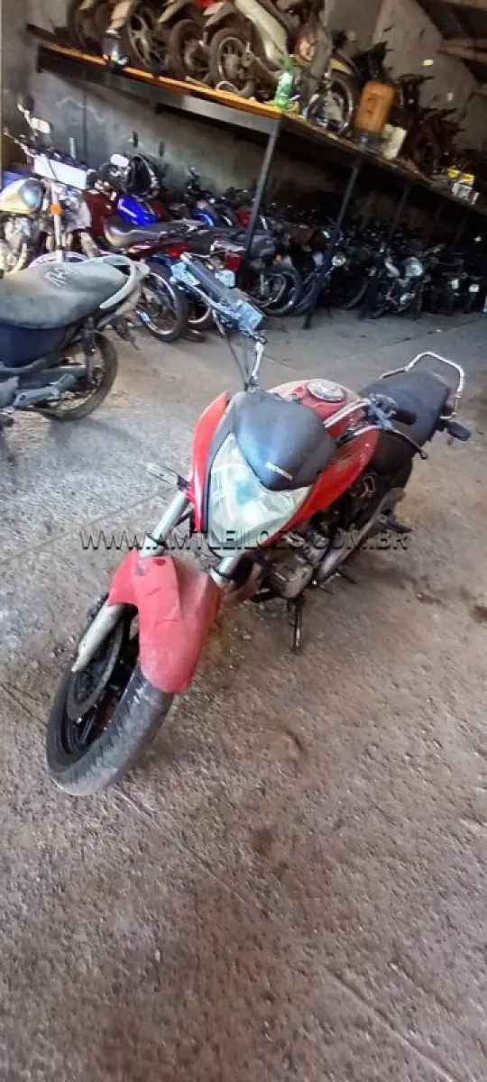 LOTE 0239
