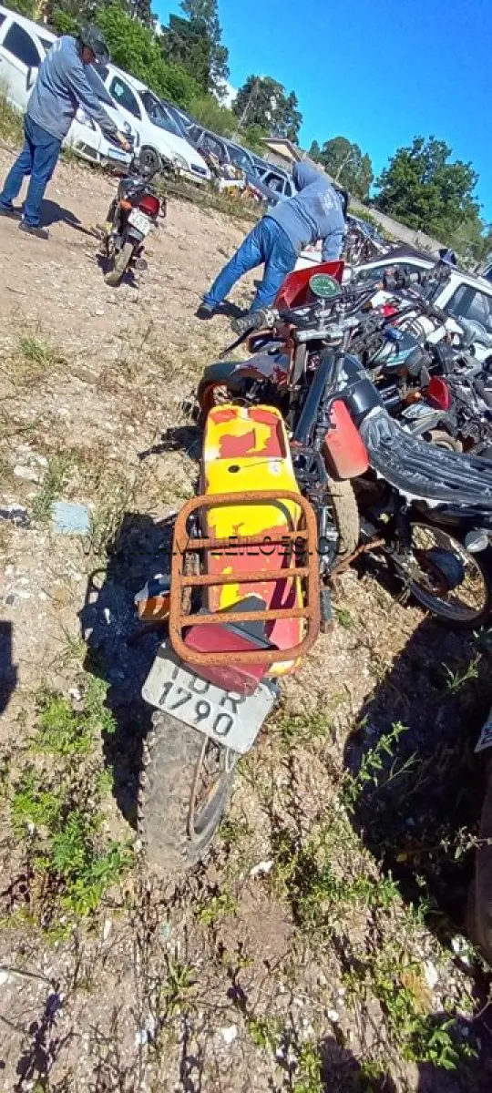 LOTE 0087