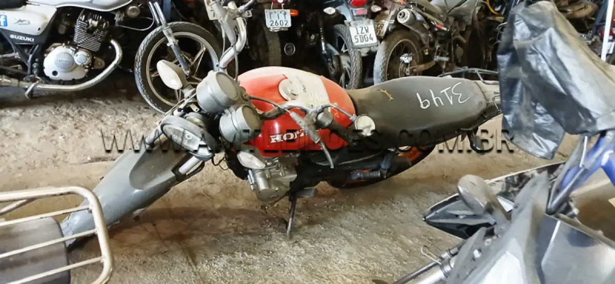 LOTE 0220