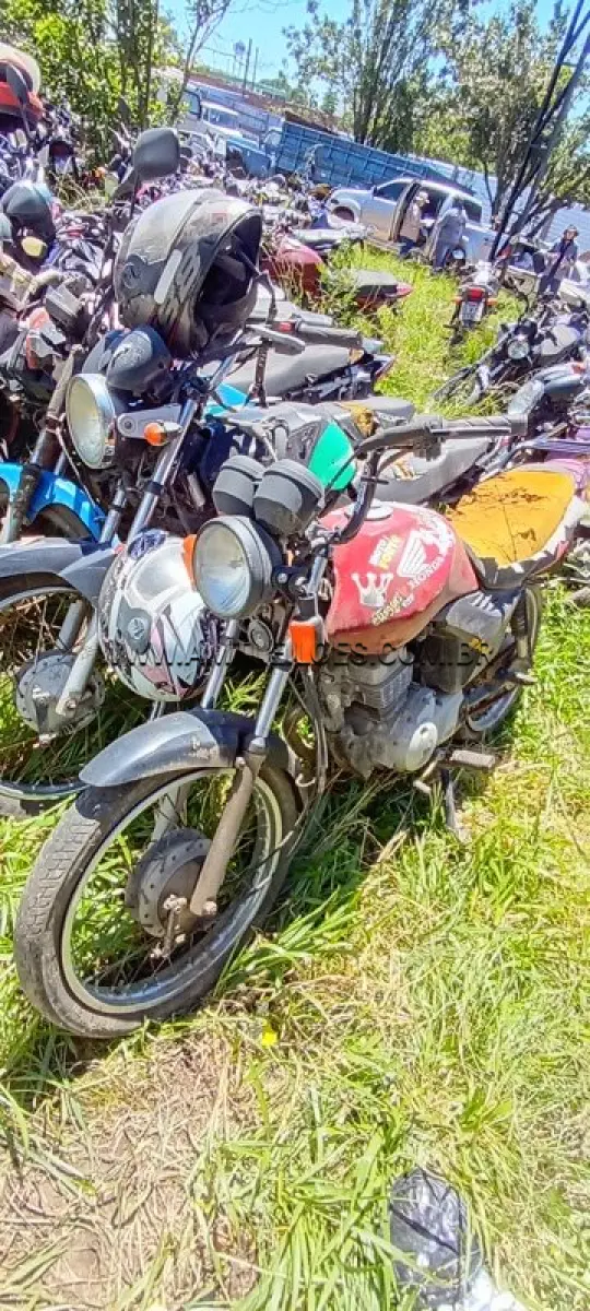 LOTE 0100