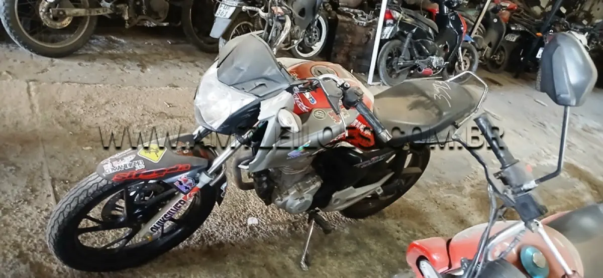 LOTE 0241