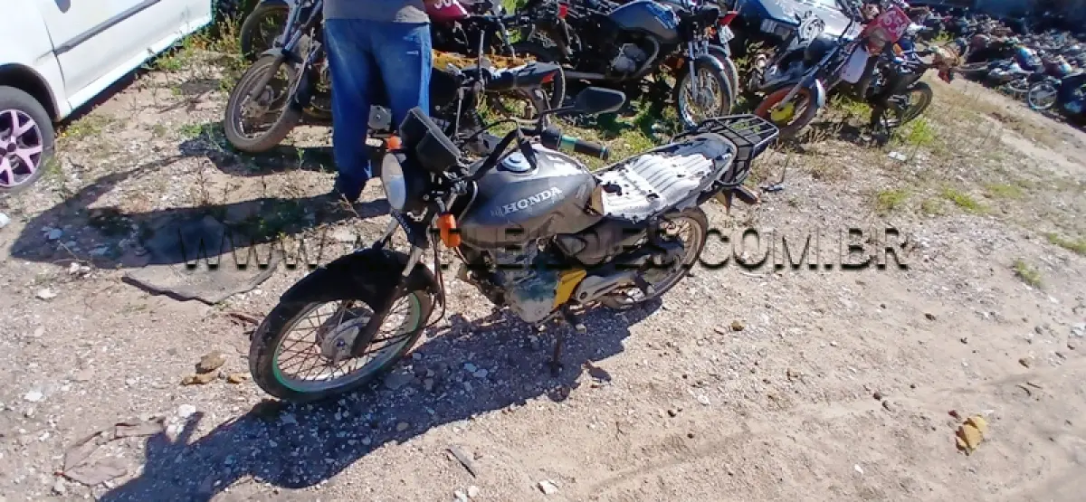 LOTE 0101
