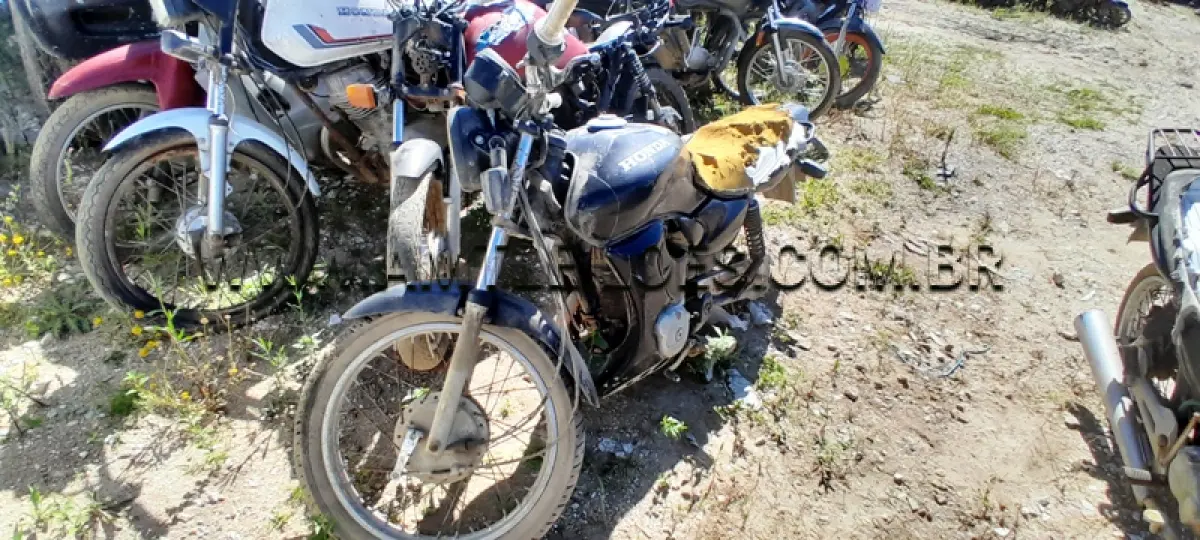 LOTE 0095