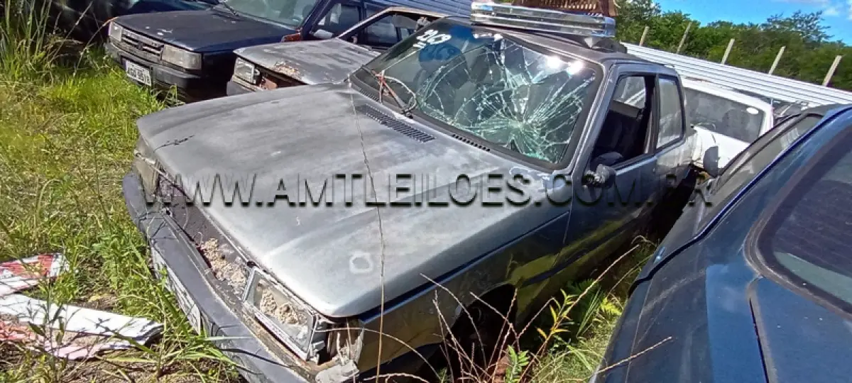LOTE 0249