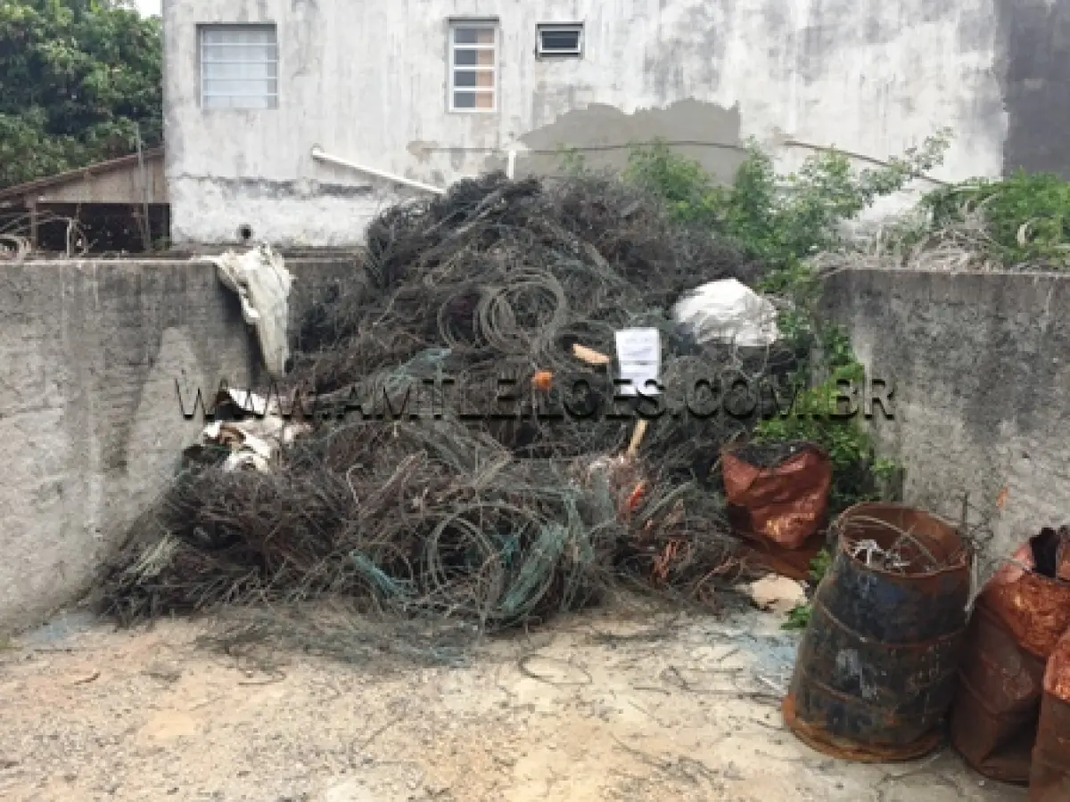 LOTE 059 - 6.000 KG DE SUCATA DE COBRE DIVERSOS (COM IMPUREZAS), MATL. 221, LOTE COTA PRINCIPAL, VALOR P/KG R$ 10,69, CLASSE II A, LOCAL P/ RETIRADA 2000