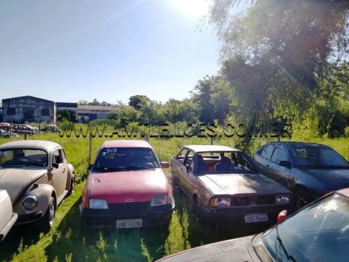 LOTE 328 - VW/VOYAGE, ANO: 1987/1987, PLACA: IDT5646; FIAT/UNO ELECTRONIC (+), ANO: 1994/1994, PLACA: IFG5929; GM/MONZA SL/E (+), ANO: 1985/1985, PLACA: IBO6184; GM/KADETT SL EFI (+), ANO: 1992/1993, PLACA: BKW6480; VW/FUSCA 1300, ANO: 1976/1976, PLACA: IGS8104; GM/KADETT SPORT (+), ANO: 1995/1995, PLACA: IDE1116; FIAT/UNO ELECTRONIC (+), ANO: 1994/1994, PLACA: ALT2810