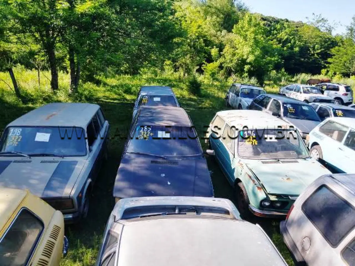 LOTE 322 - SUCATAS: FIAT/UNO ELECTRONIC (+), ANO: 1994/1994, PLACA: IDC3556; IMP/FORD ESCORT GUARUJA (+), ANO: 1992/1992, PLACA: IBF3215; GM/KADETT IPANEMA SL EFI (+), ANO: 1993/1993, PLACA: IAS4079; FORD/BELINA II, ANO: 1978/1979, PLACA: IFN9916; VW/BRASILIA, ANO: 1977/1977, PLACA: IBN2132; IMP/LADA LAIKA SW 1.6, ANO: 1991/1992, PLACA: IIO6992; VW/VARIANT, ANO: 1973/1973, PLACA: IFJ5402