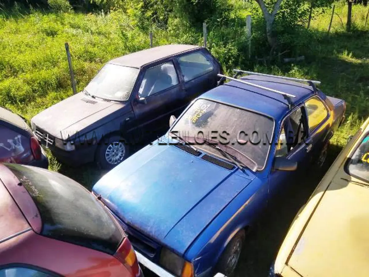 LOTE 323 - SUCATAS: GM/CHEVETTE, ANO: 1986/1986, PLACA: ICW9043; FIAT/UNO CS (+), ANO: 1987/1988, PLACA: IDO3976; FORD/BELINA II (+), ANO: 1980/1981, PLACA: ICL7401; FIAT/PALIO ED (+), ANO: 1996/1997, PLACA: IFV8520; GM/CORSA WIND (+), ANO: 1994/1994, PLACA: IBW6258; FIAT/UNO S, ANO: 1989/1989, PLACA: AEM2677
