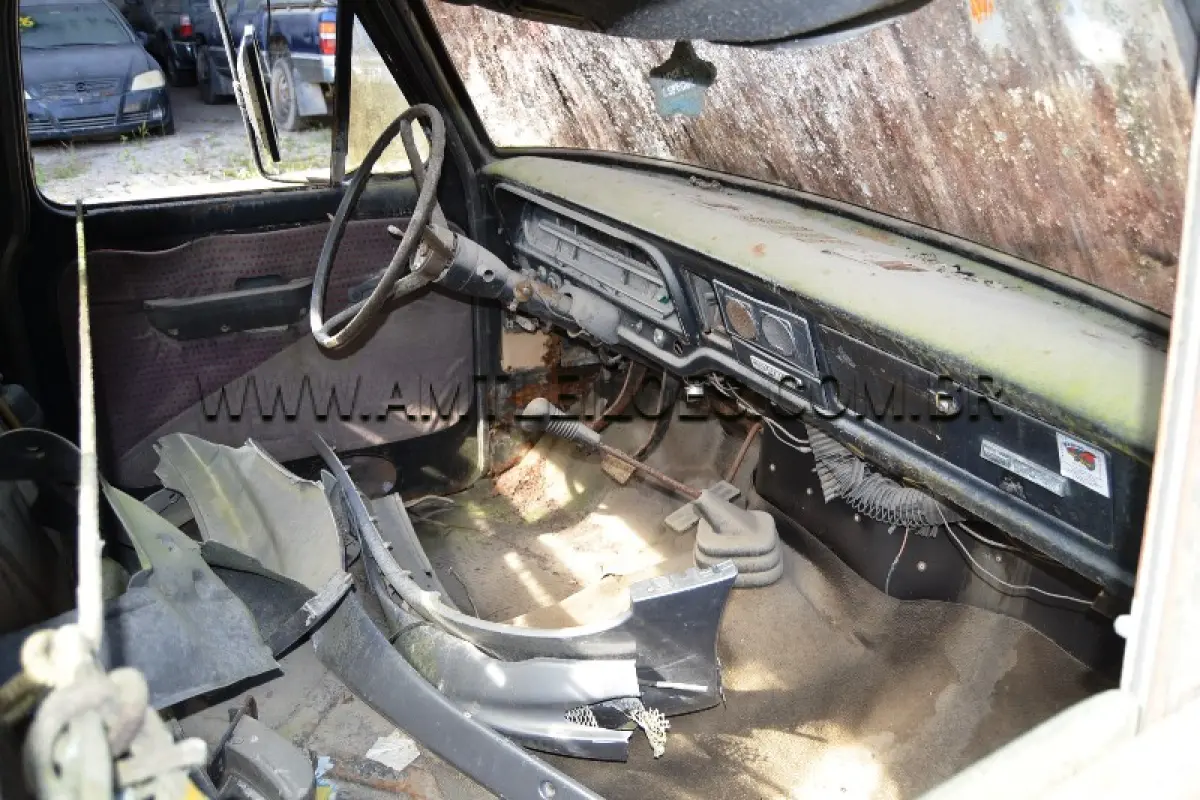 LOTE 005 - SUCATA: Espécie: CARGA / Marca: FORD / Modelo: F100 / Placa: IEE9477 / Ano fabricação: 1975 / Ano modelo: 1975 / Cor: PRETA / Chassi: LA7ARE55910 / Renavam: 576743860