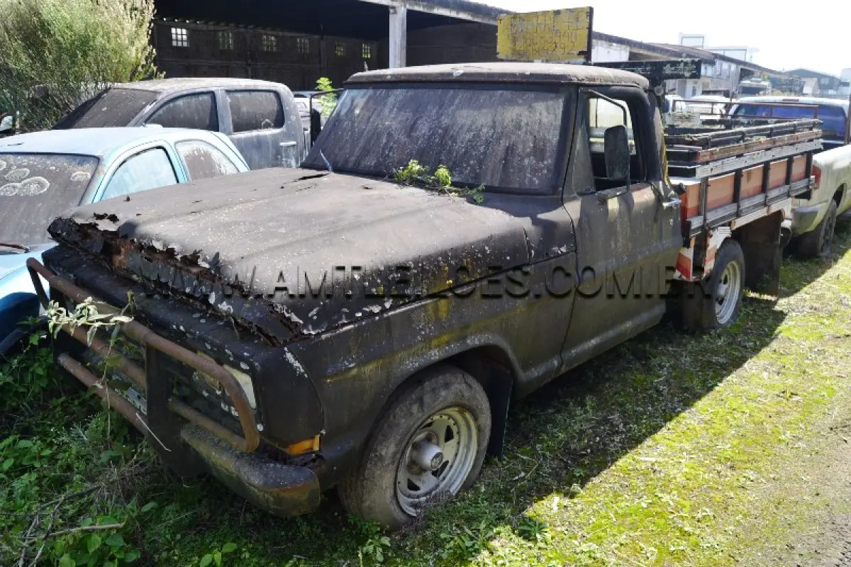 LOTE 005 - SUCATA: Espécie: CARGA / Marca: FORD / Modelo: F100 / Placa: IEE9477 / Ano fabricação: 1975 / Ano modelo: 1975 / Cor: PRETA / Chassi: LA7ARE55910 / Renavam: 576743860