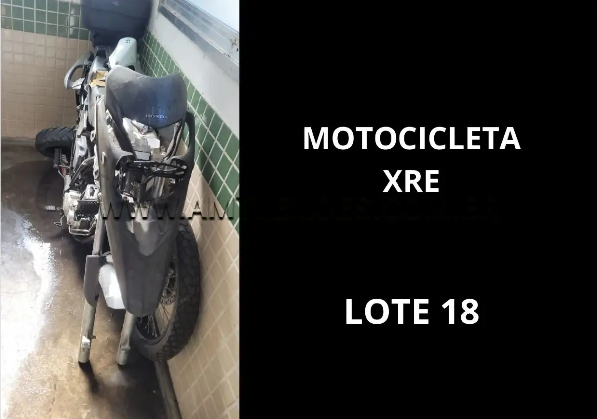 LOTE 018 - MARCA/MODELO: MOTOCICLETA POLICIAL HONDA / XRE 300 TRAIL 01PSG 2X1, ANO: 2010.