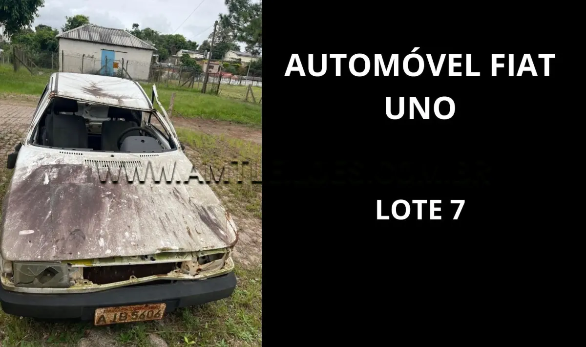 LOTE 007 - MARCA/MODELO: MICRO - ÔNIBUS MARCOPOLO / EMP GE VOLARE A8 28PSG 4X2, ANO: 2000;  MARCA/MODELO: AUTOMÓVEL CMDO FIAT / UNO MILLE 5PSG 4X2 , ANO: 2000.