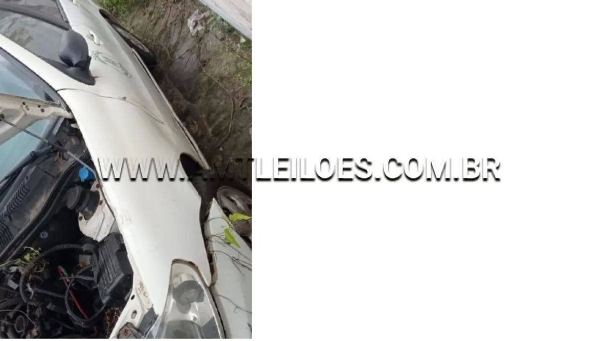 LOTE 102 - FIAT/PALIO WEEK ELX FLEX, ANO/MODELO: 2007/2008