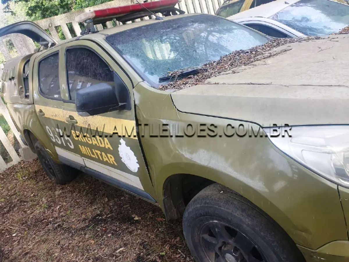 LOTE 118 - CHEVROLET/S10 LT FD2, ANO/MODELO: 2013/2014