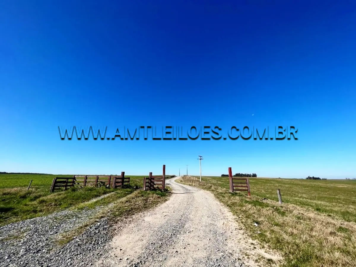 LOTE 001 - UM IMÓVEL RURAL,  COM ÁREA DE 34h.39.a.37ca, Matrícula 29.624.