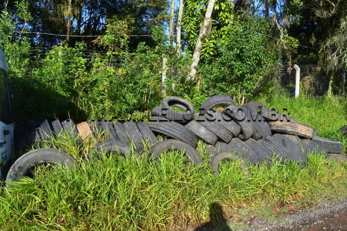 LOTE 032 - LOTE COMPOSTO DE PNEUS COM DIVERSOS AROS (DIÂMETROS).EM TORNO DE 150 UNIDADES.