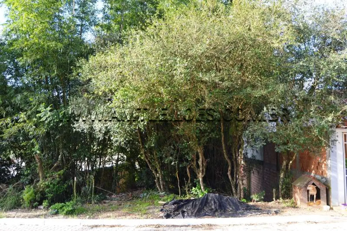 LOTE 003 - Área Superficial 303,05 m², Matrícula Nº 80.039 Passo do Caí, Bairro  Califórnia.