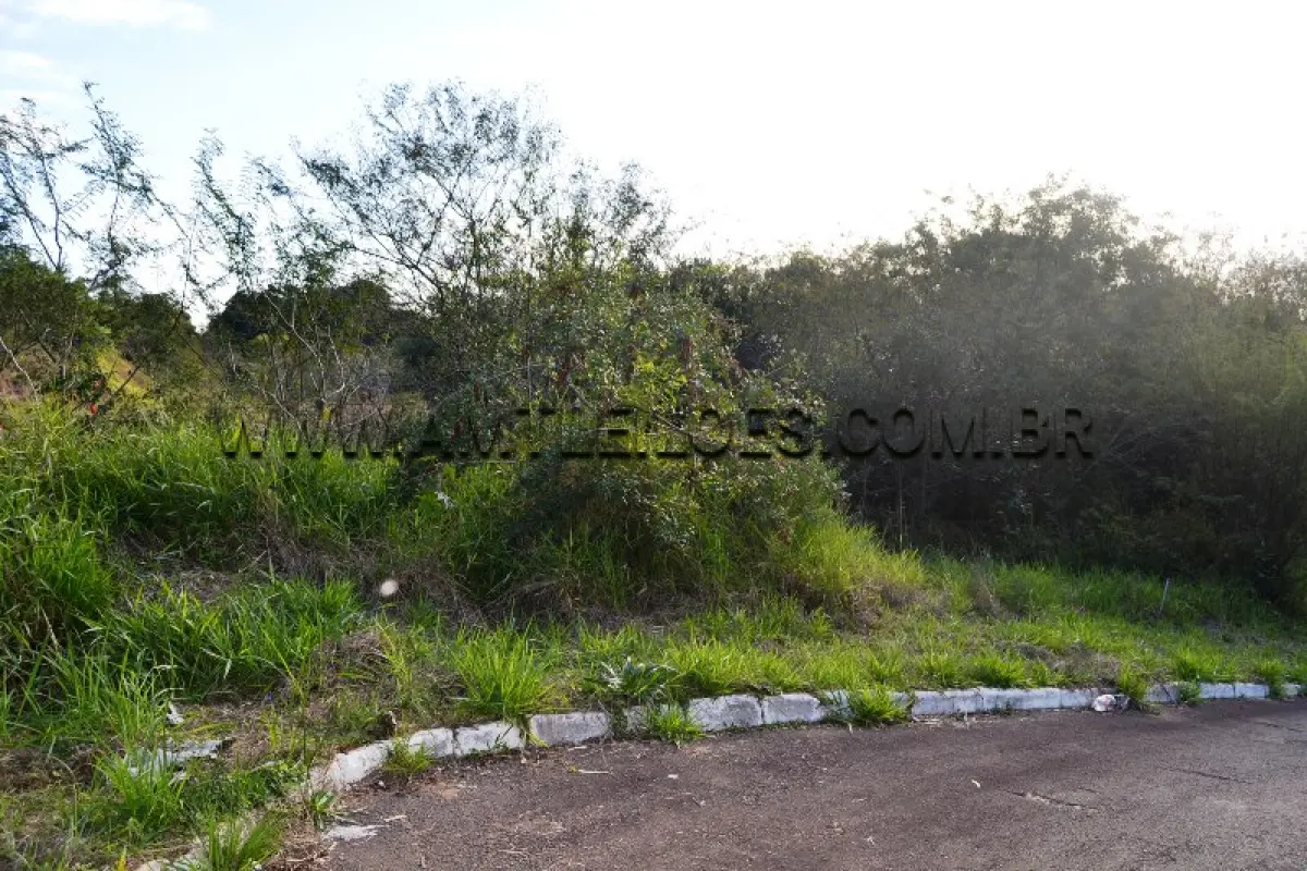 LOTE 012 - Área Superficial 5.599,81 m², Matrícula Nº 127.686 Recanto das Paineiras, Bairro Califórnia.