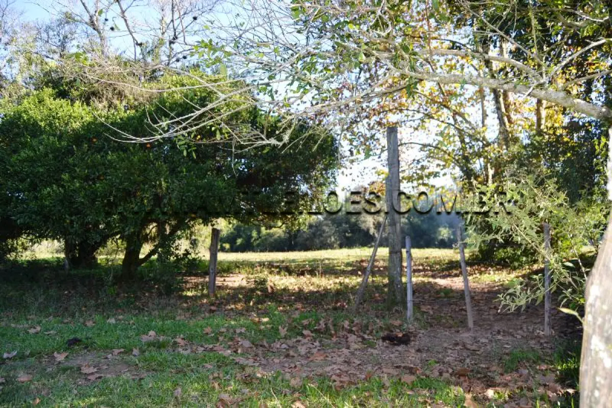 LOTE 005 - Área Superficial 7.383,86 m², Matrícula Nº 101.527 Rua G- Maria José Caju, Bairro  Caju.
