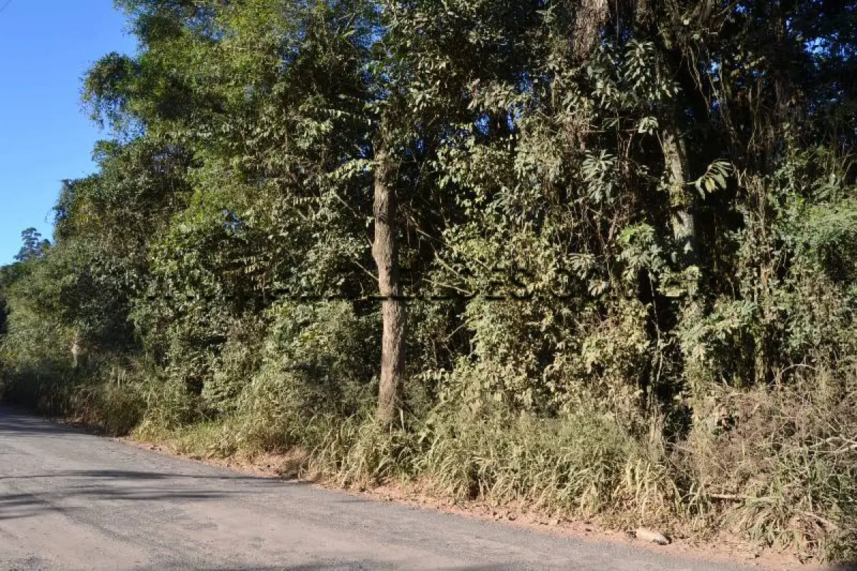 LOTE 004 - Área Superficial 5.486,32 m², Matrícula Nº 87.861 Estrada Maria Conceição Fraga, Bairro  Centro.