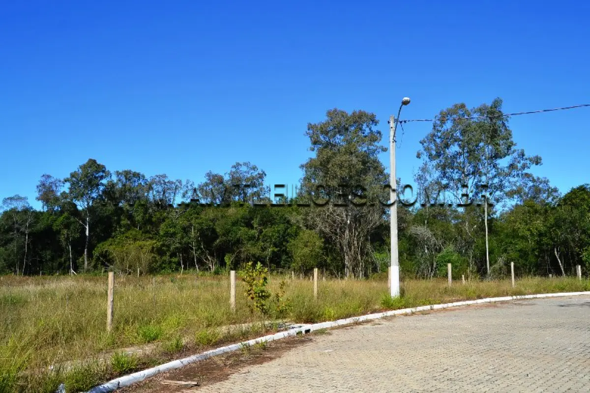 LOTE 007 - Área Superficial 3.375,87 m², Matrícula Nº 126.601 Quadra 8 plátano oriental, Bairro Floresta.