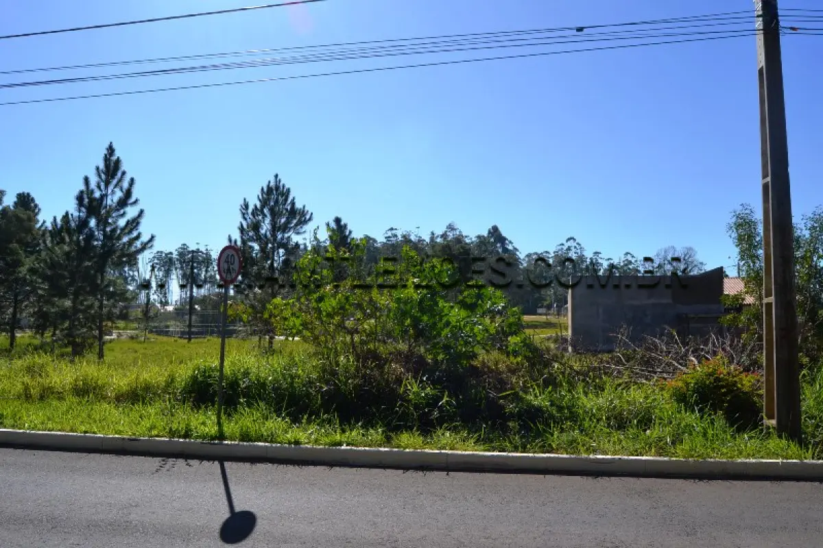 LOTE 010 - Área Superficial 511,50 m², Matrícula Nº 75.476 Deoclécio Rodrigues, Bairro Berto Círio.