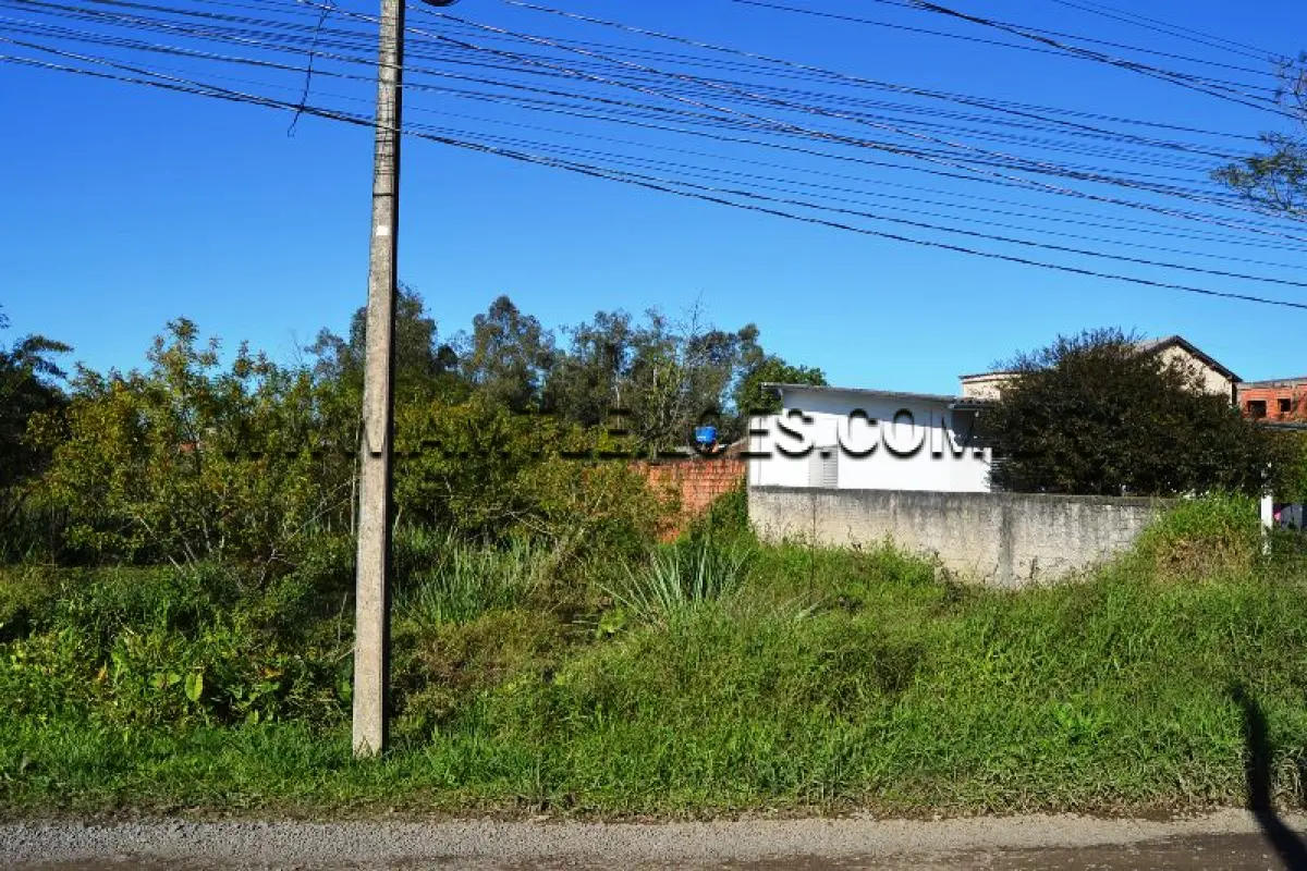 LOTE 013 - Área Superficial 500 m², Matrícula Nº 67.102 Terreno Rua Cajú, Bairro Floresta.