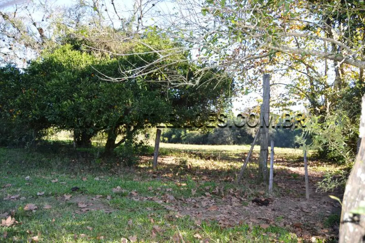 LOTE 005 - Área Superficial 7.383,86 m², Matrícula Nº 101.527 Rua G- Maria José Caju, Bairro  Caju.