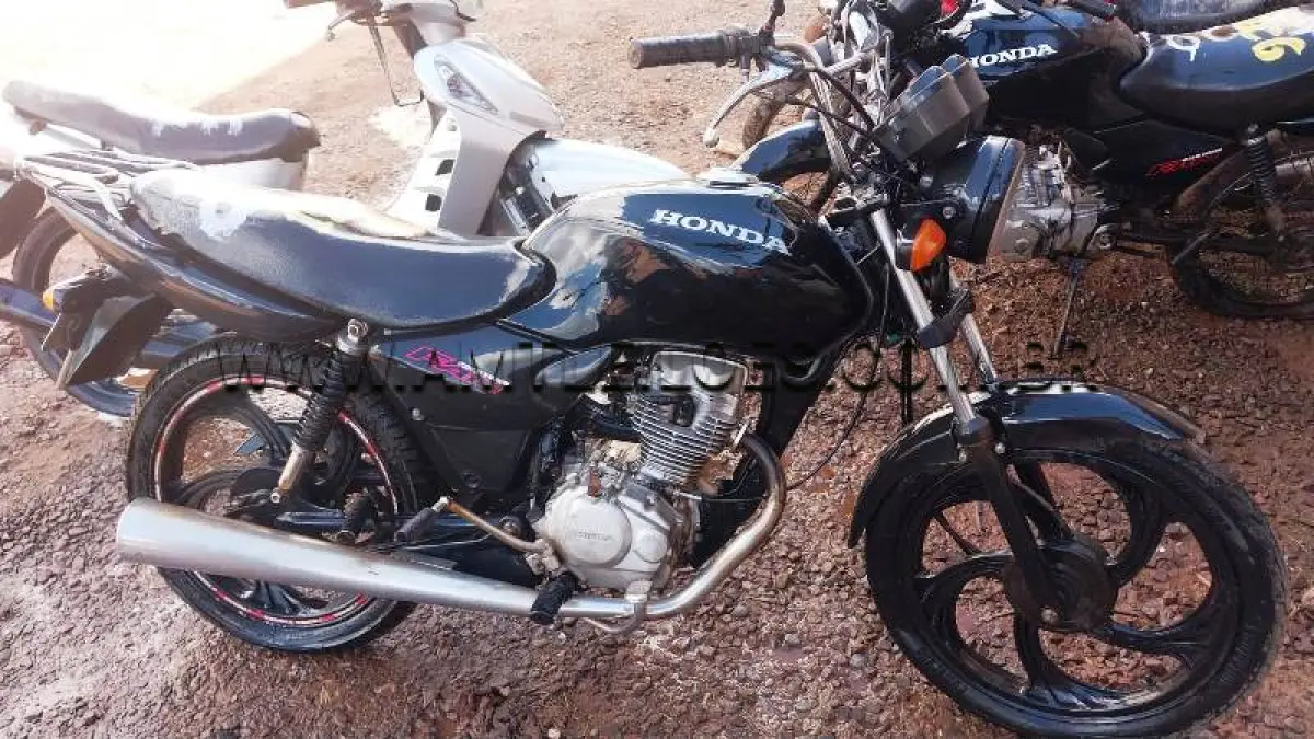 LOTE 0110