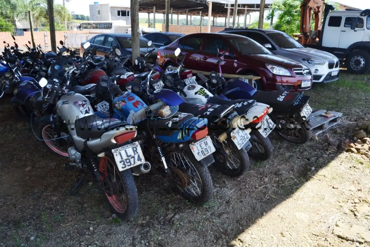 LOTE 0306