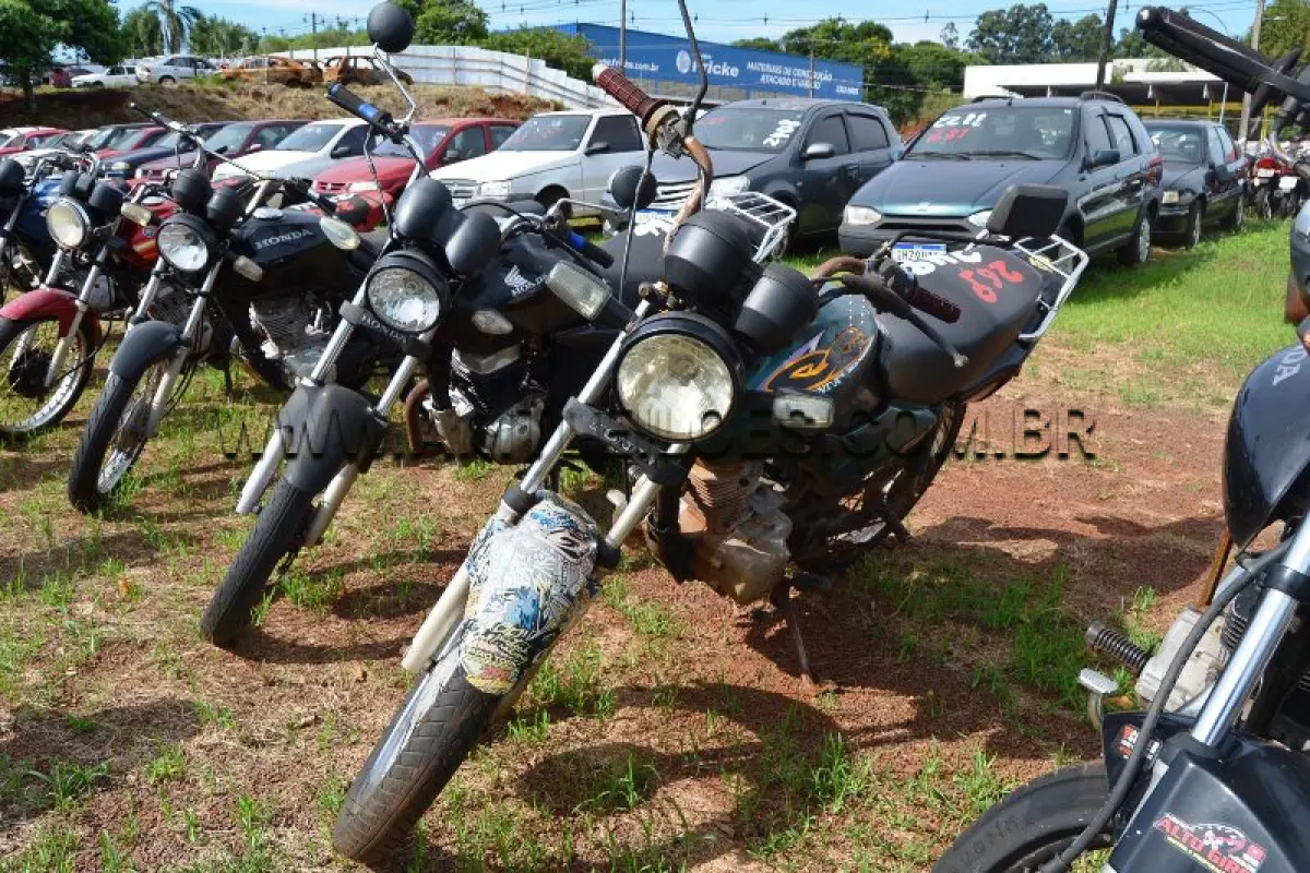 LOTE 0269