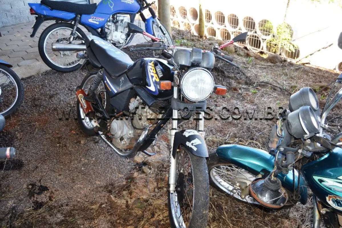 LOTE 0318