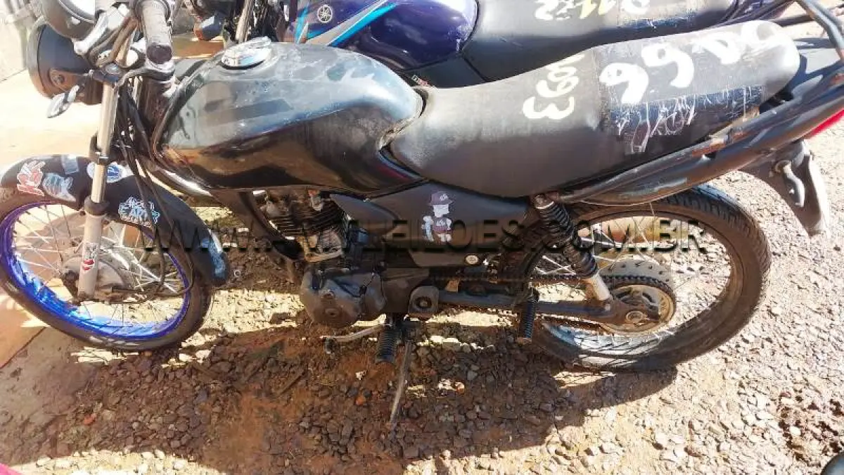 LOTE 0099