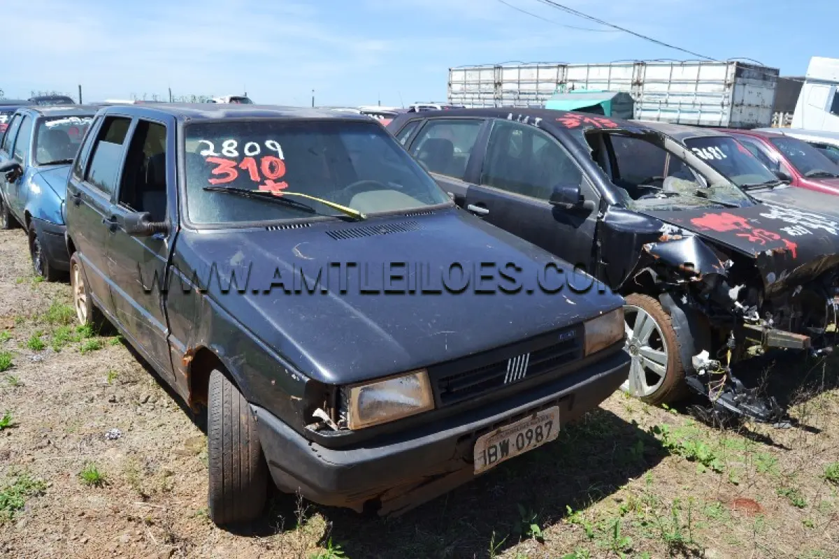 LOTE 0310
