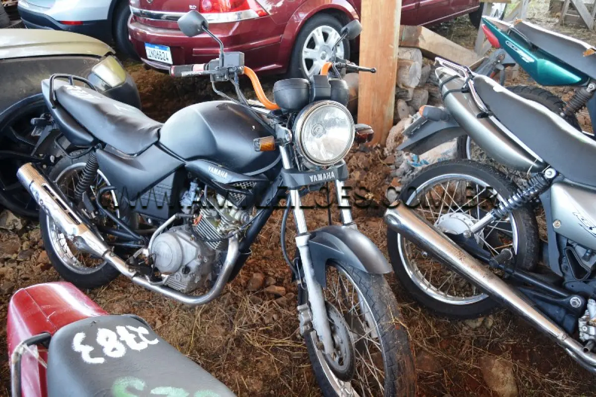 LOTE 0319