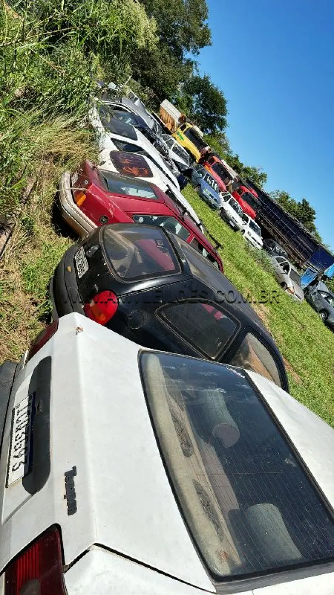 LOTE 0049
