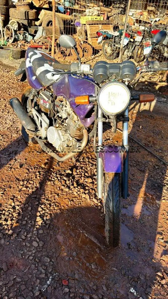 LOTE 0051