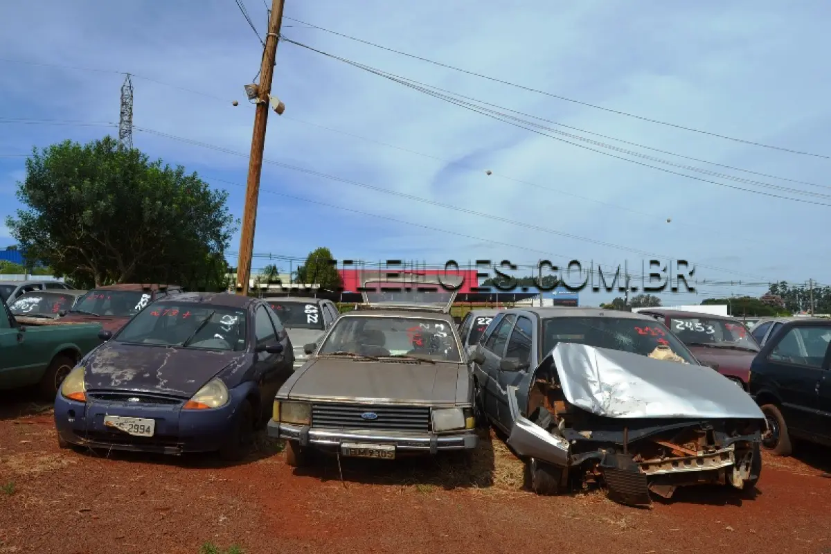 LOTE 0213
