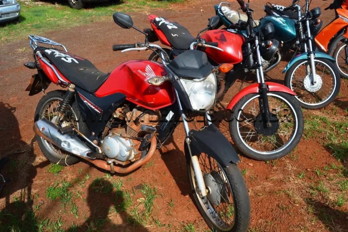 LOTE 0264