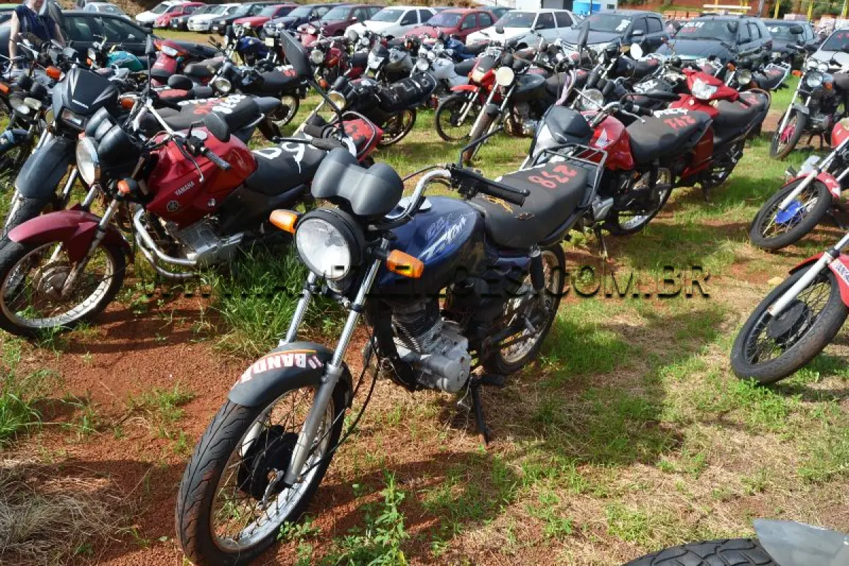 LOTE 0238