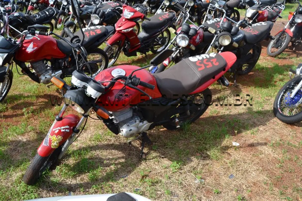 LOTE 0255