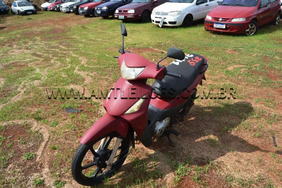 LOTE 0259