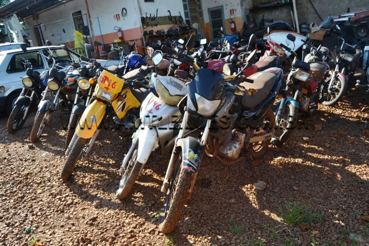 LOTE 0146