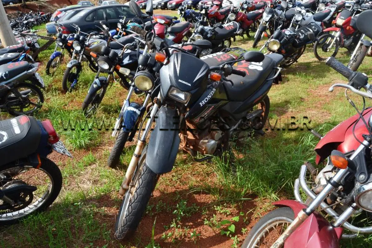 LOTE 0246