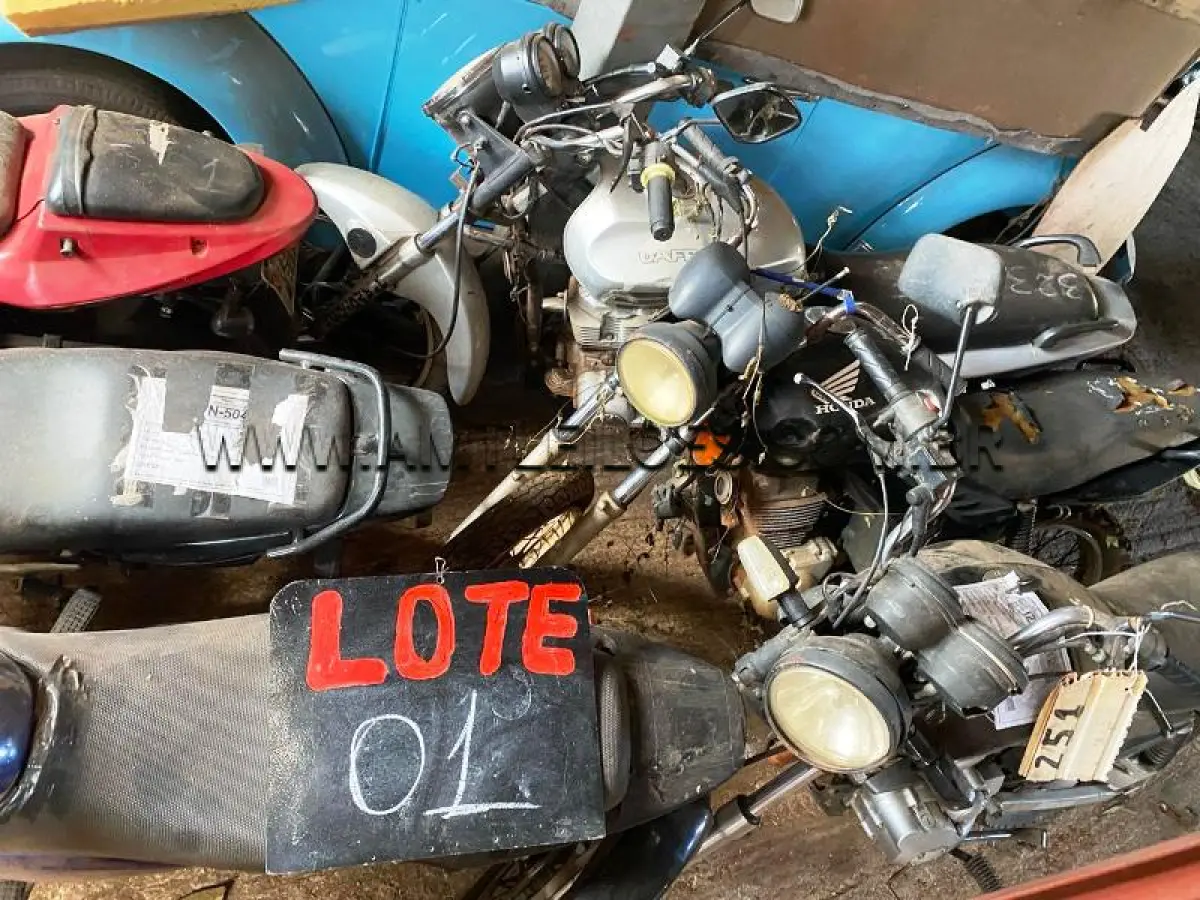 LOTE 0001