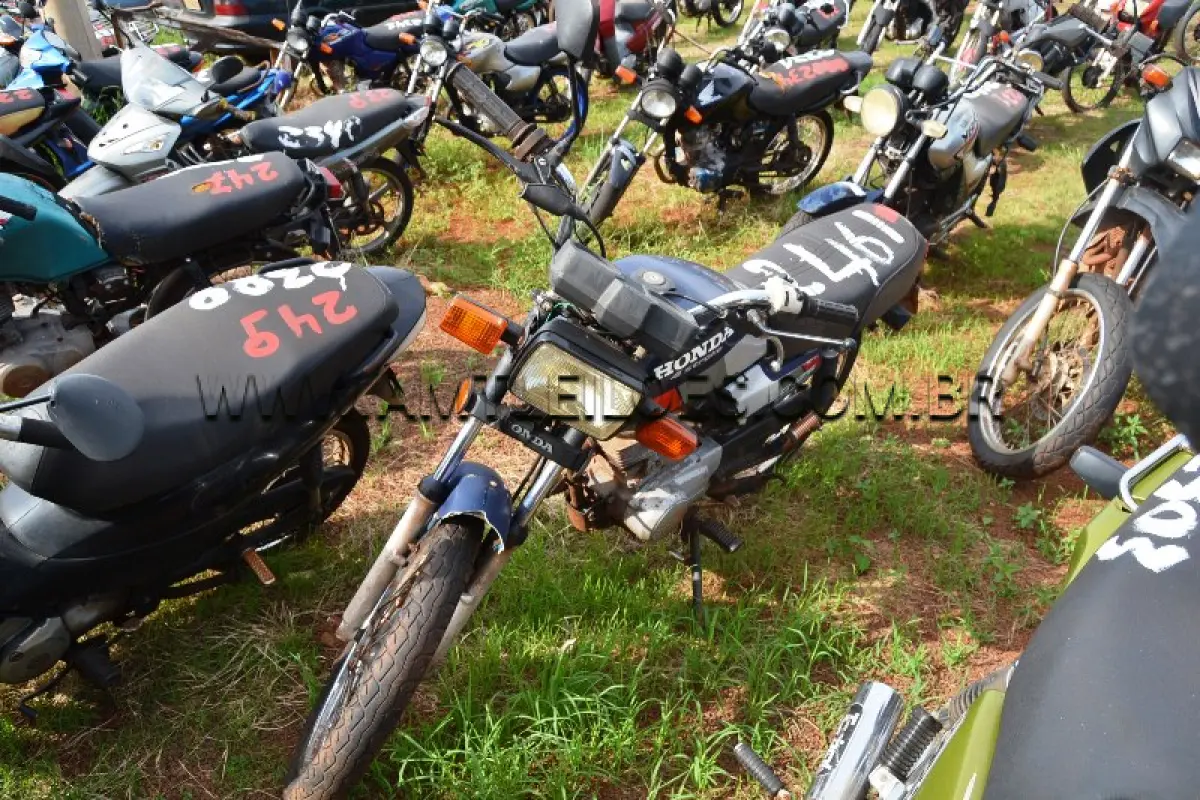 LOTE 0260